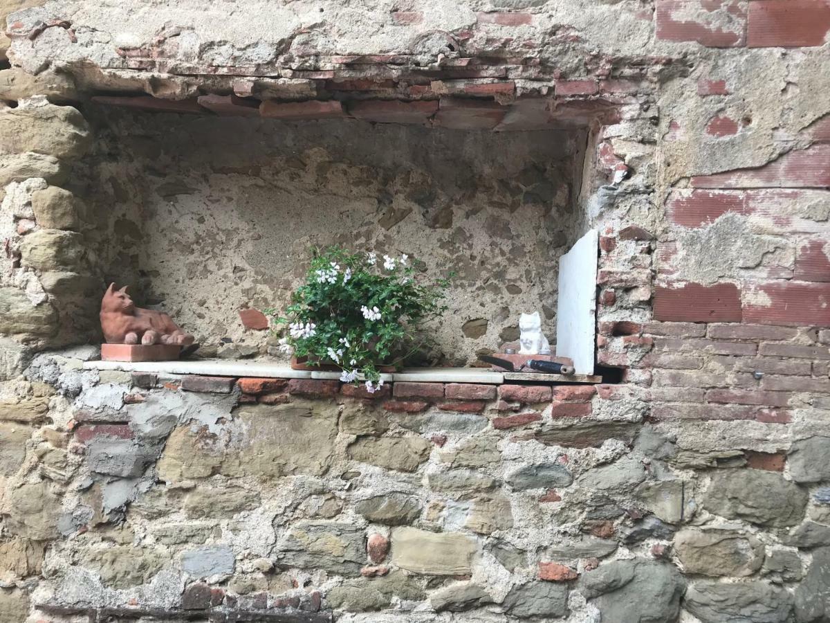 Camera E Appartamento Toscana - B&B Palazzo Robicci Castiglion Fiorentino Exteriér fotografie