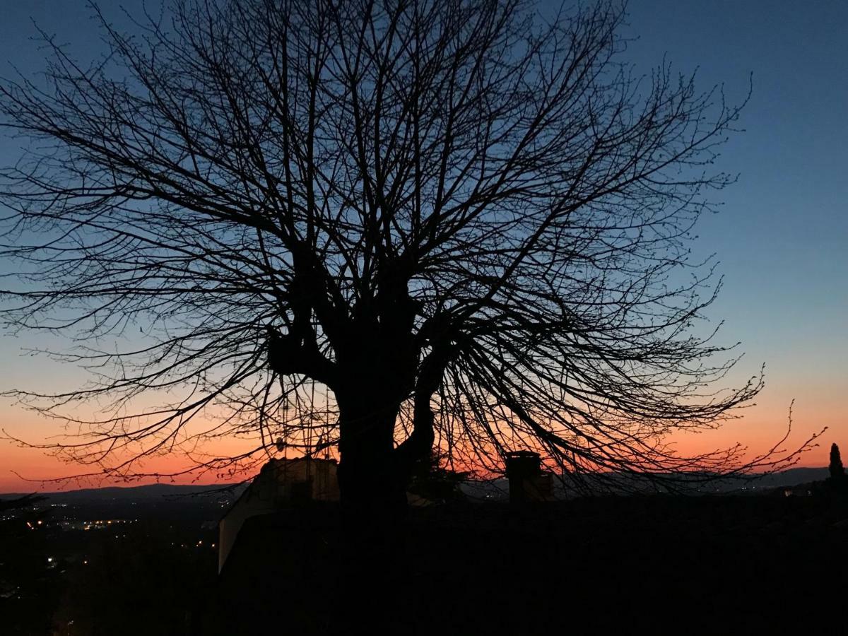 Camera E Appartamento Toscana - B&B Palazzo Robicci Castiglion Fiorentino Exteriér fotografie